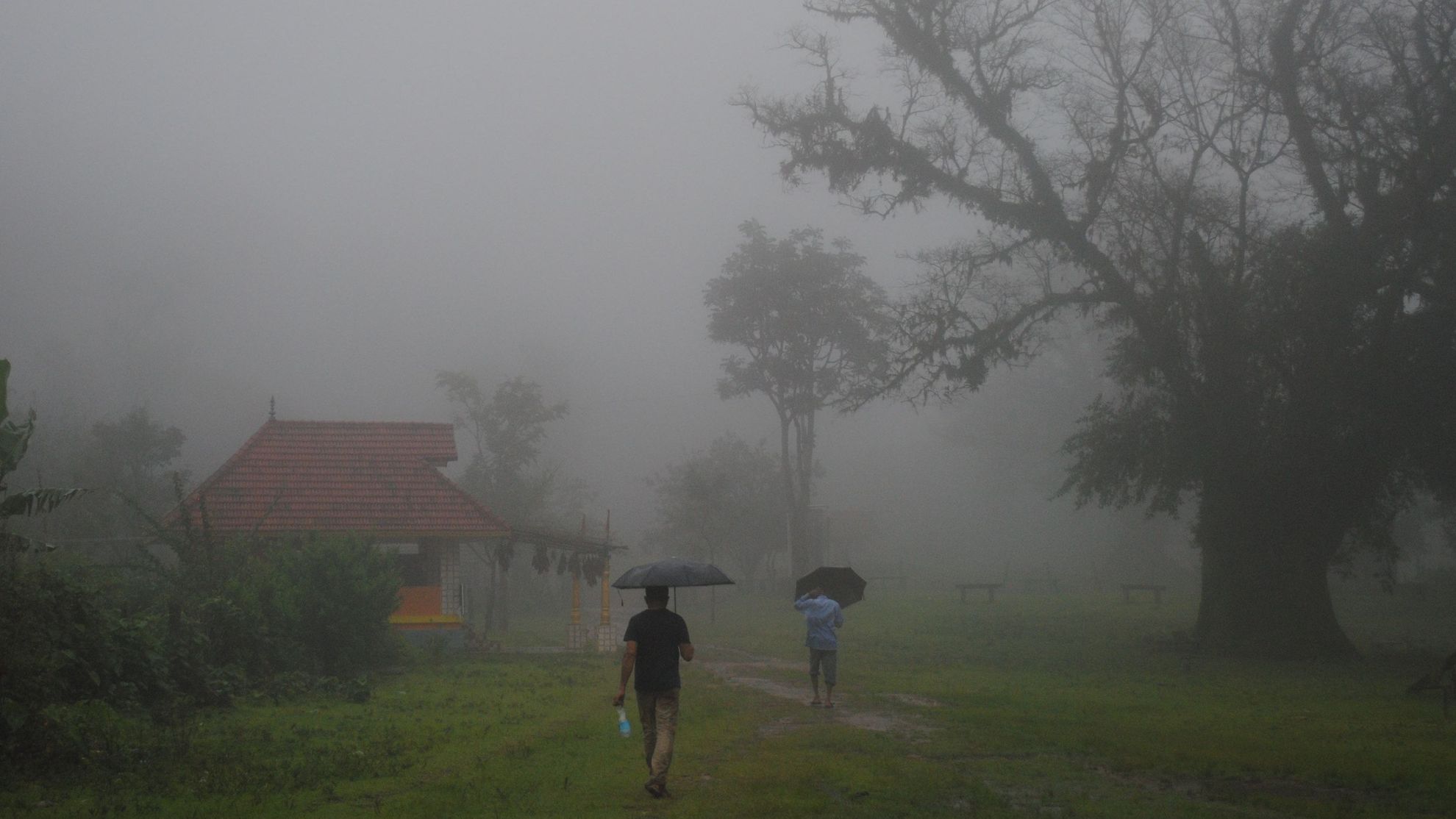 Monsoon rainfall deficit related to sporadic extreme rainfall, say scientists