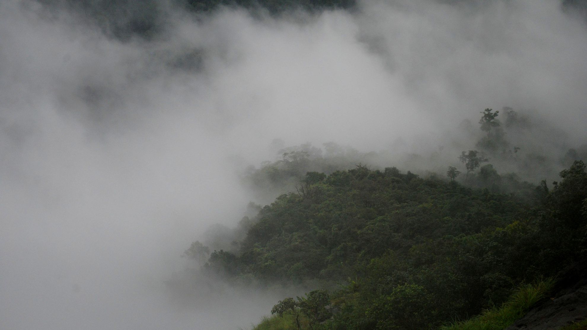 Observe surface pressure over Arabian sea to predict arrival of monsoon, suggests a new study