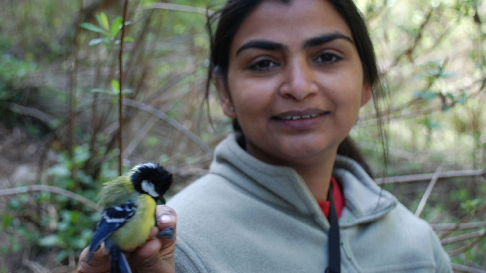 Living with parasites: A Himalayan tale of birds, mosquitoes and malaria