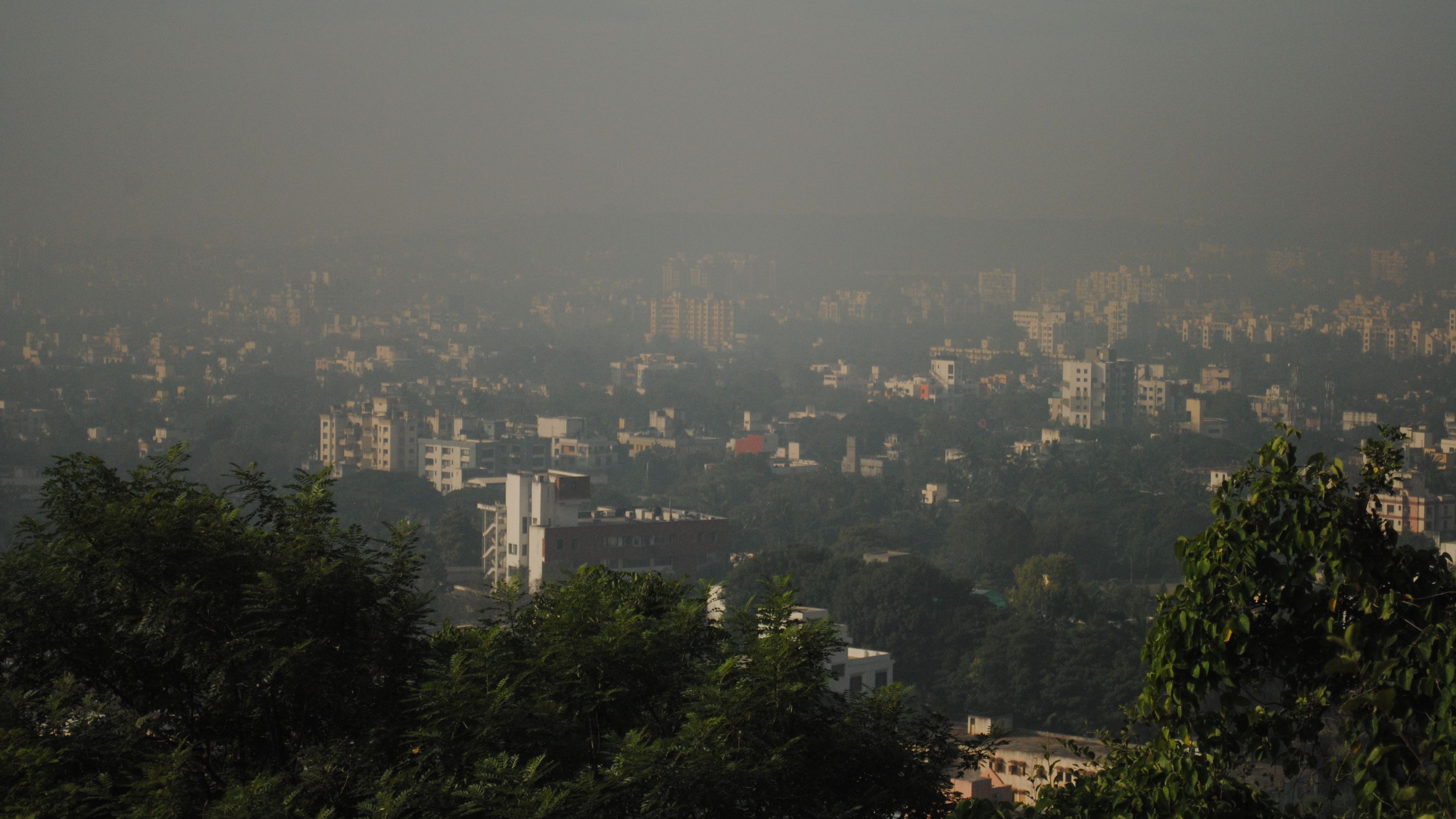 Can our forests fight human pressures and climate change?
