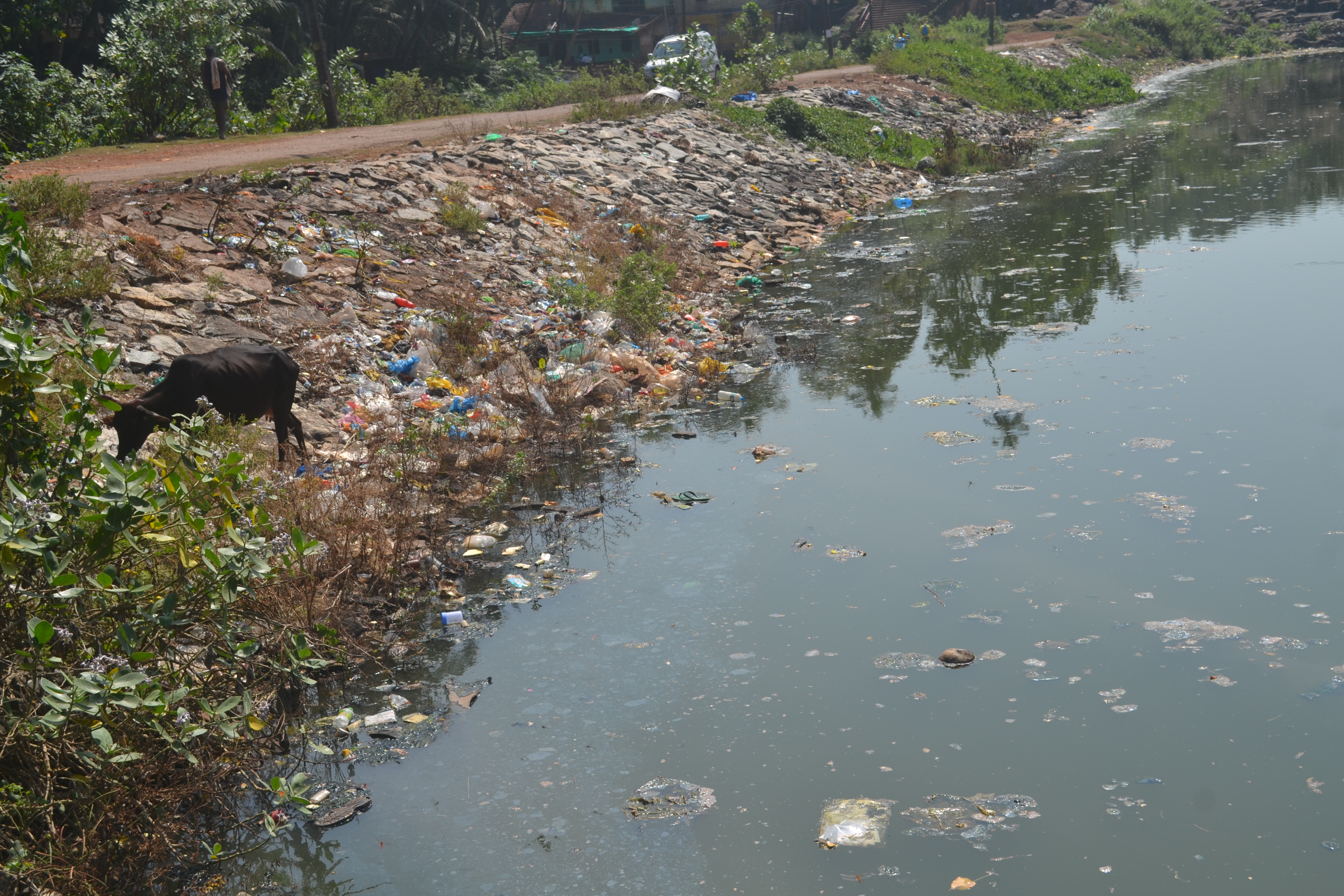 Research says unscientific dumping of waste is affecting Bengaluru’s lakes and wells