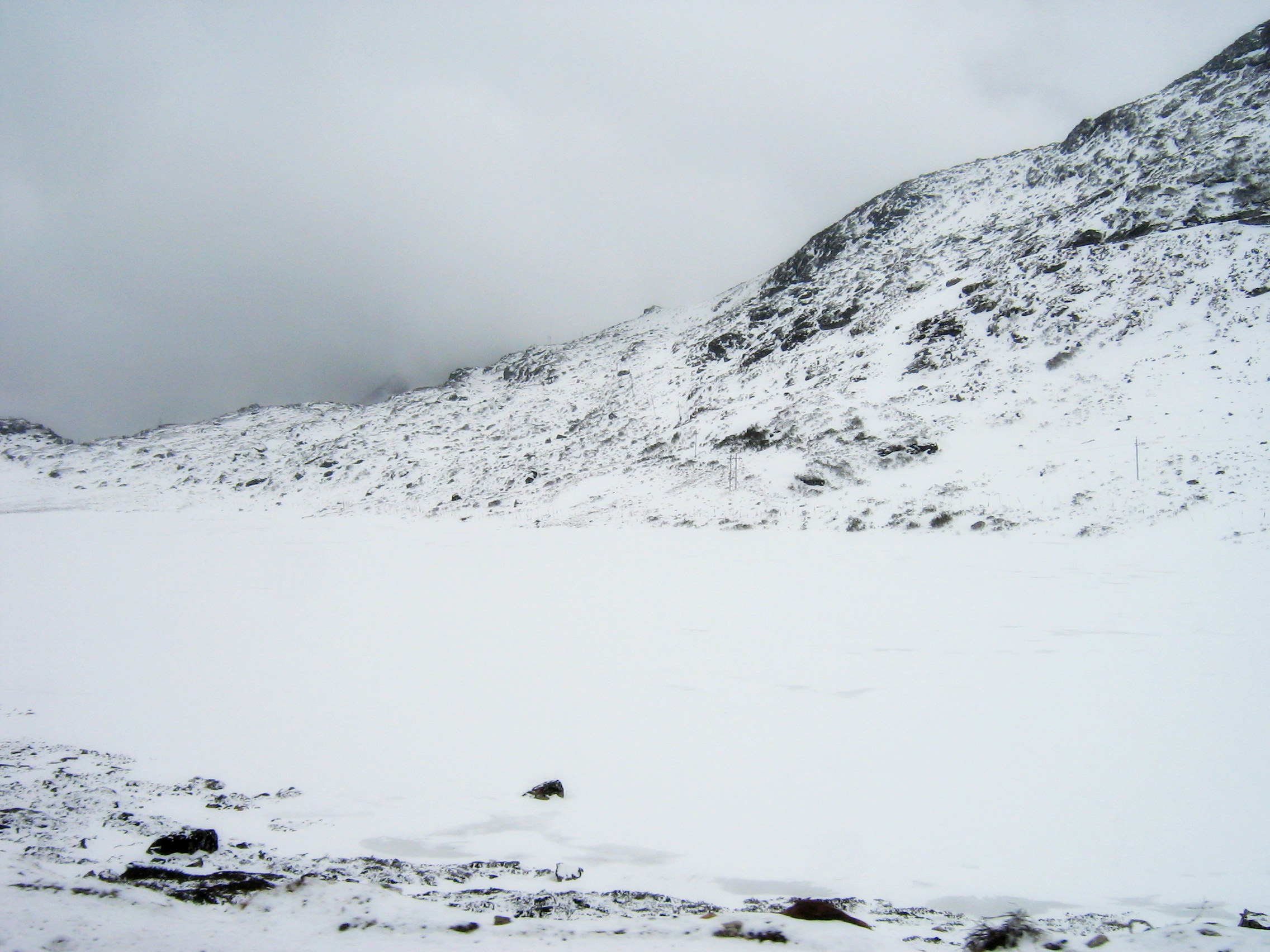 Scientists find a way to predict formation of glacial lakes