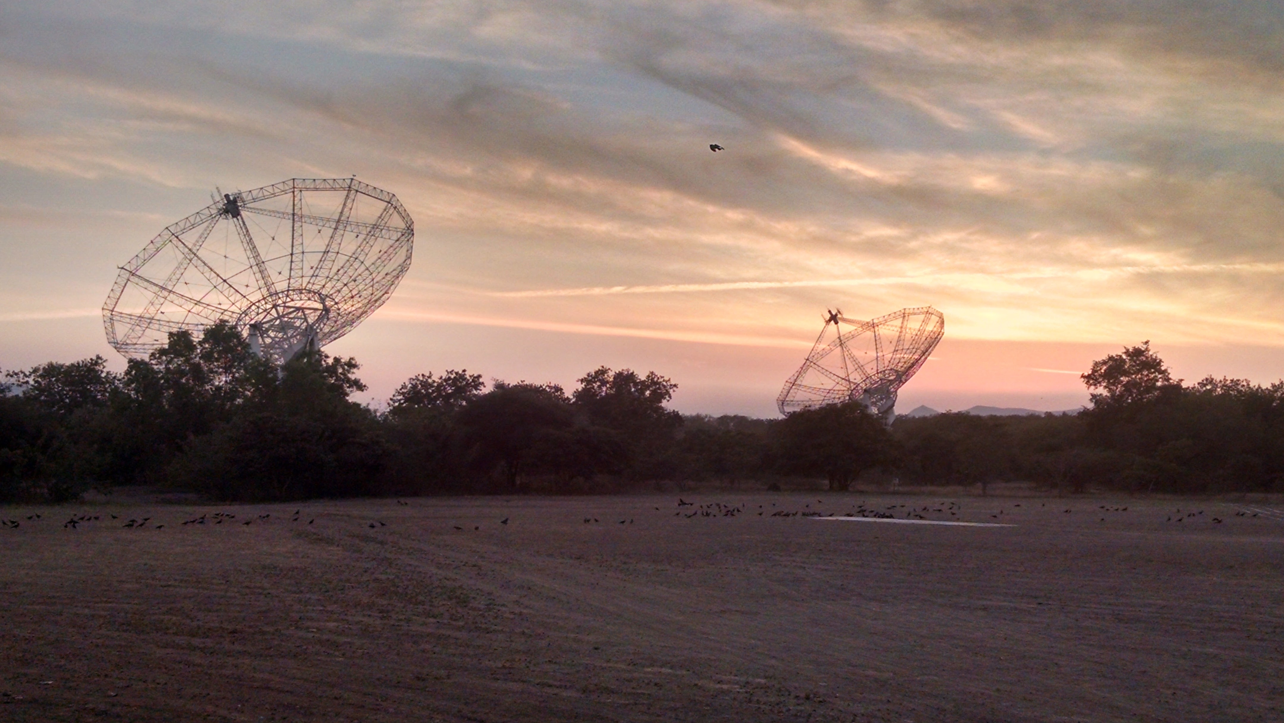 Scientists observe structure within the pulses of a Millisecond Pulsar
