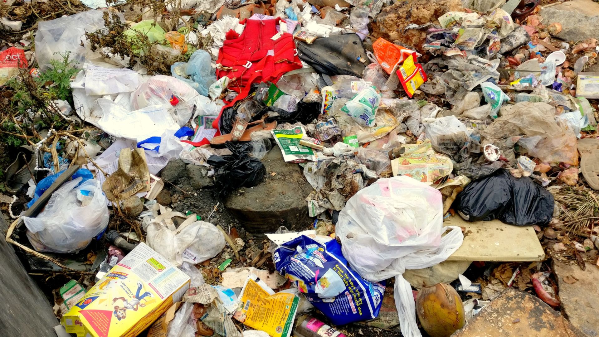 Tackling domestic waste the right way