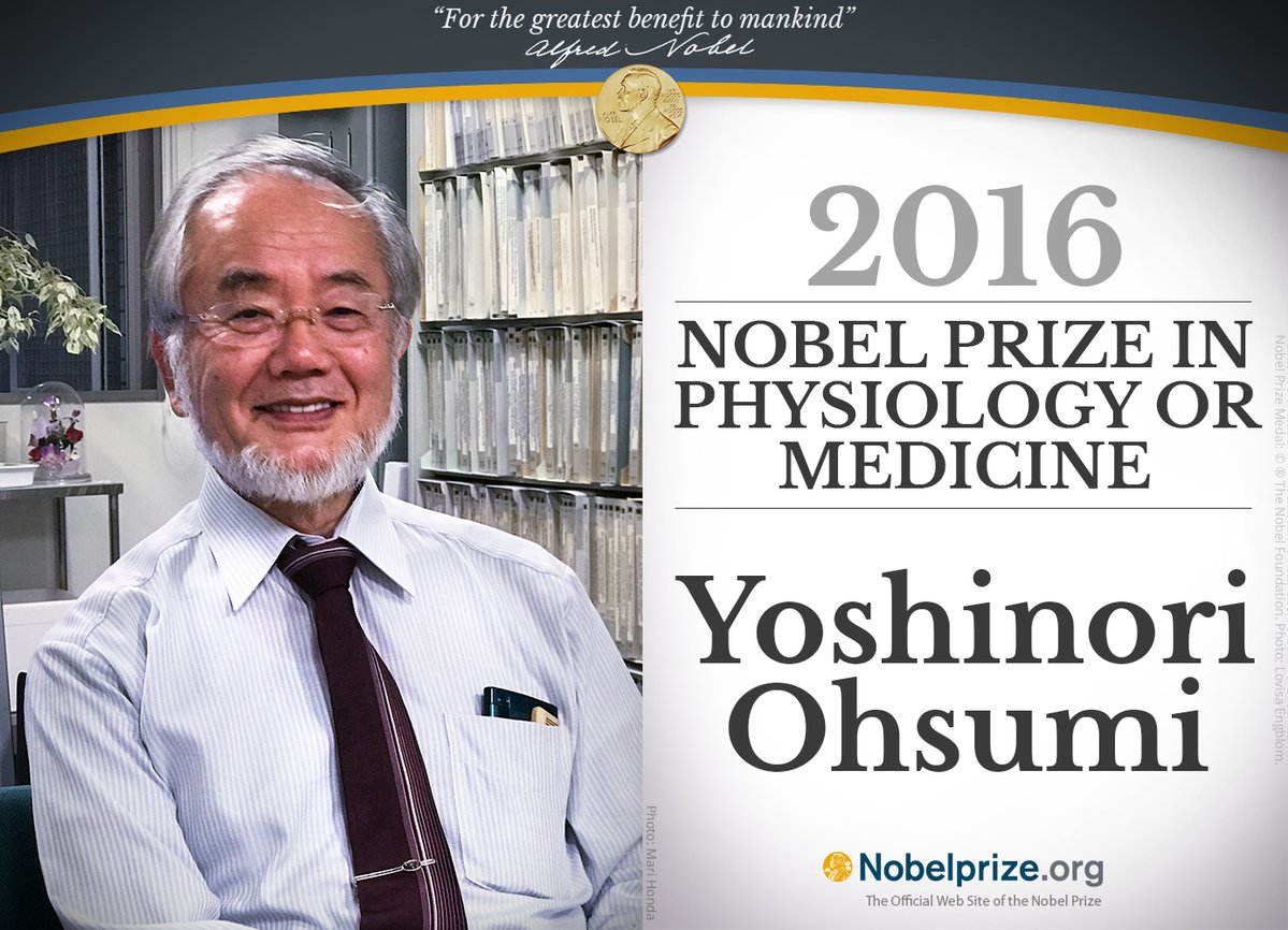 Prof. Ohsumi from Japan wins the Nobel for Medicine for his work on Autophagy