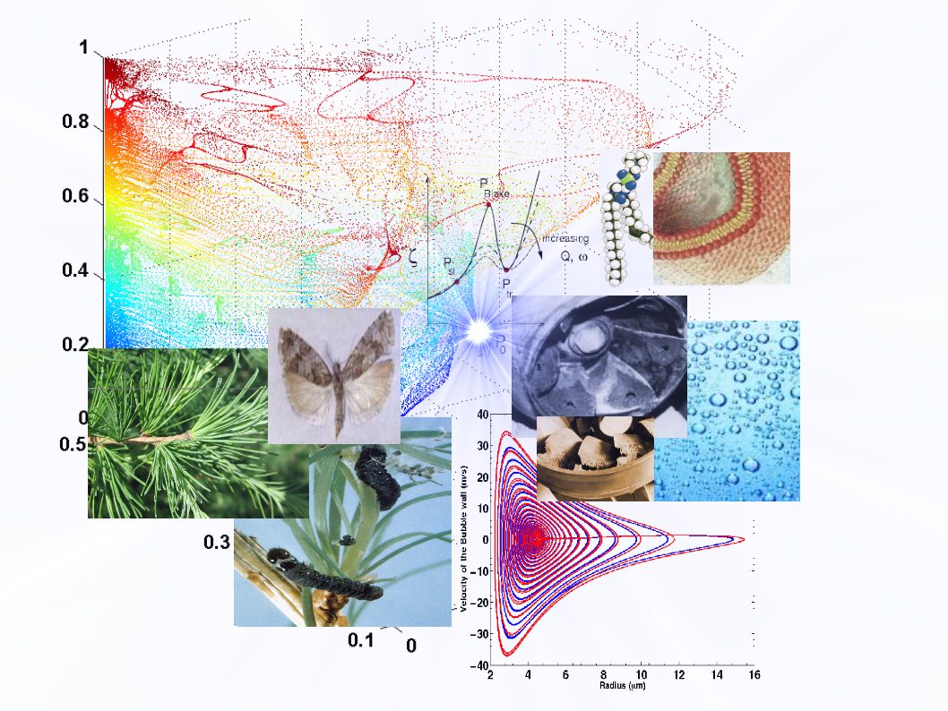 The Fascinating World of Complex Systems