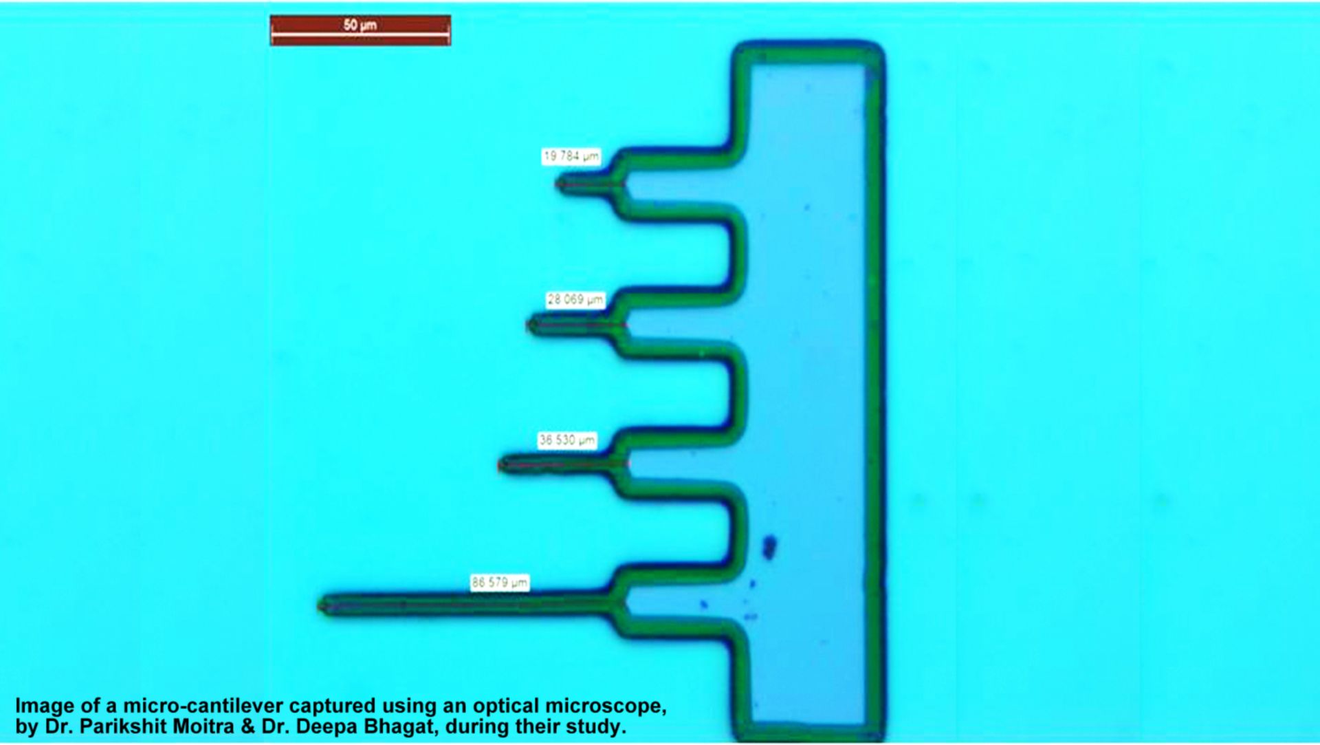 Scientists engineer a low-cost device to detect pests before crop infestation
