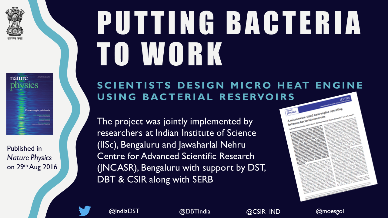 Putting Bacteria to Work: Scientists Design Micro Heat Engine Using Bacterial Reservoirs