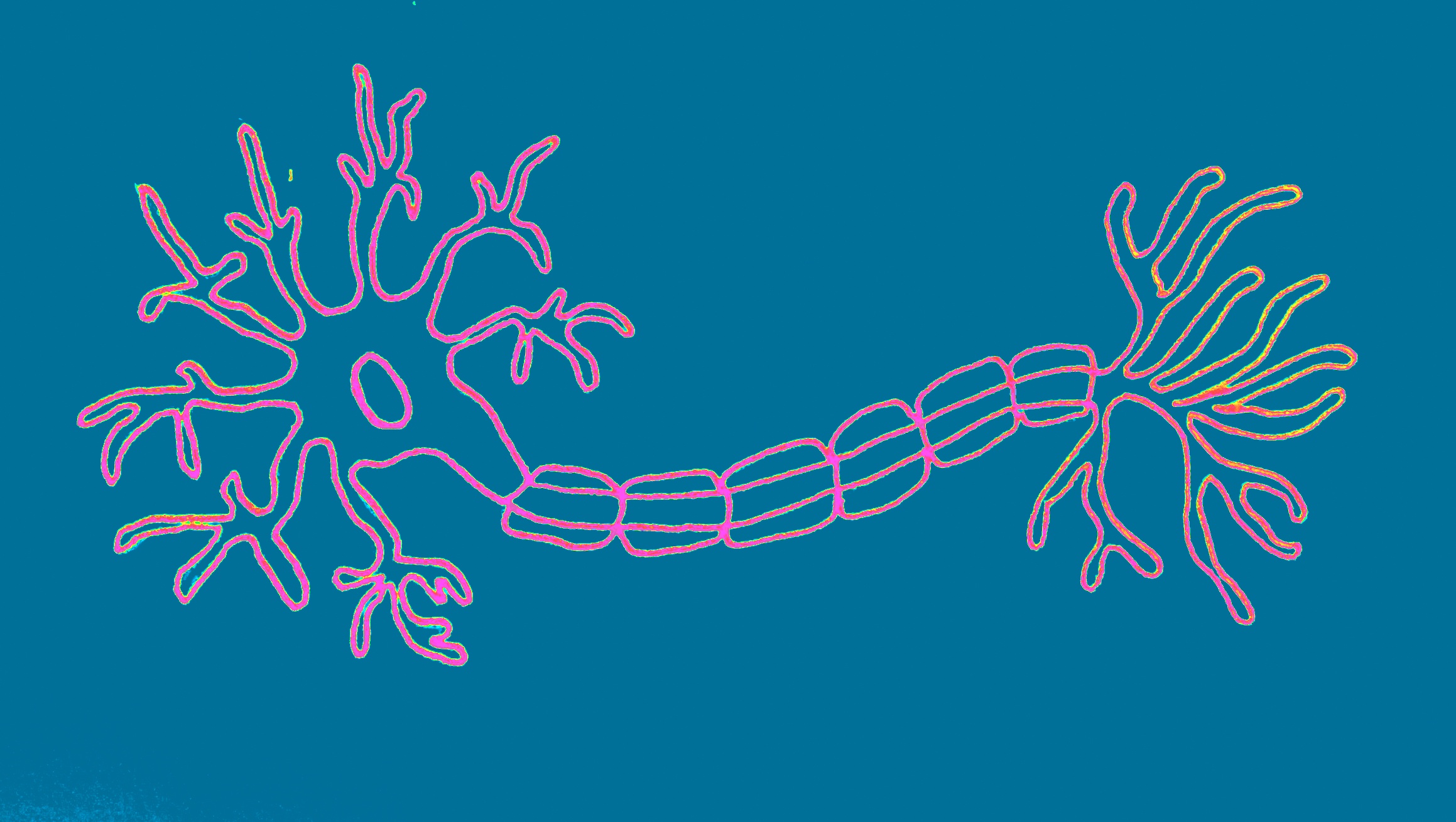 Scientists Discover a Molecule that Controls Neurogenesis