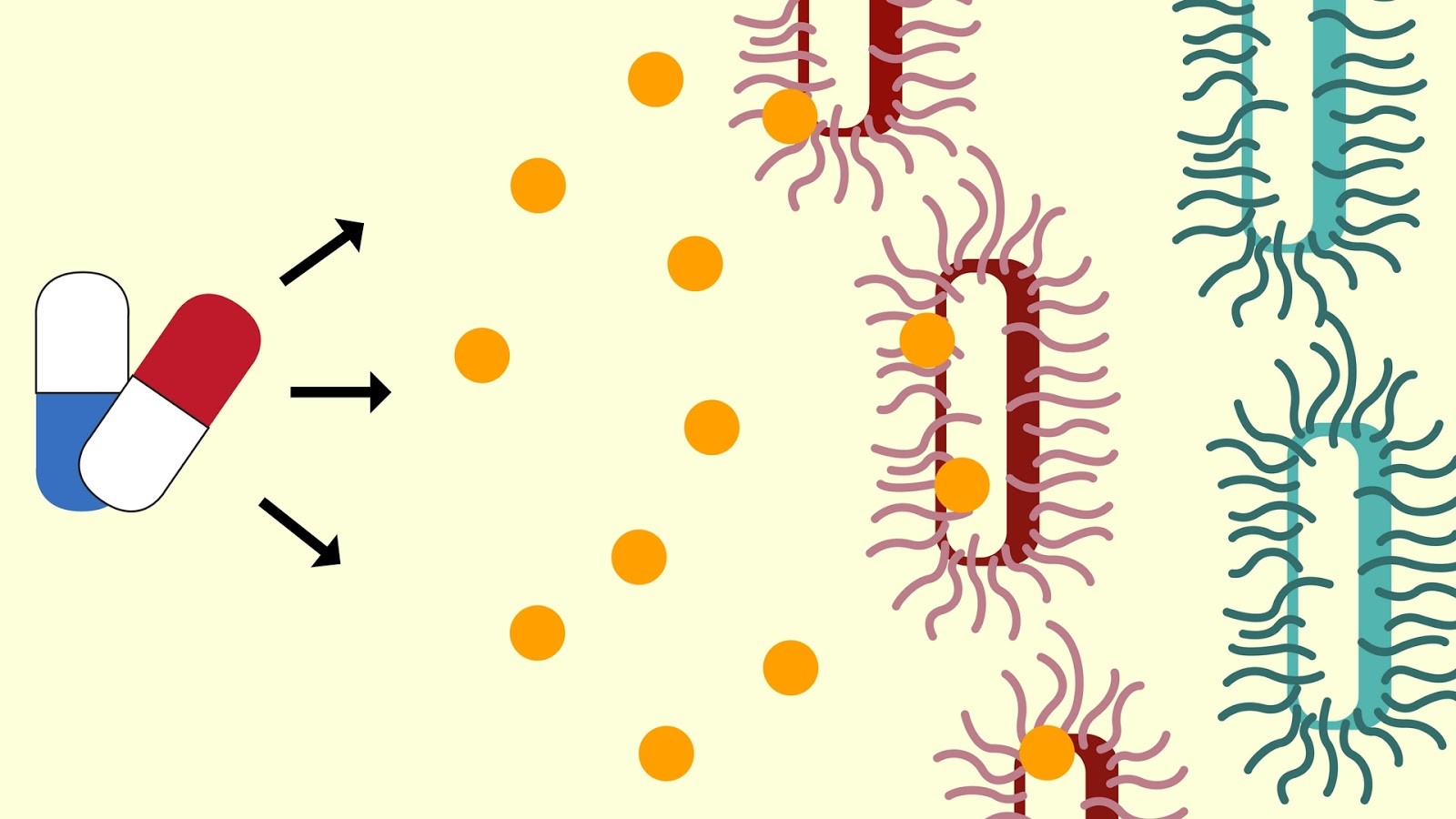 Combining forces to battle tuberculosis