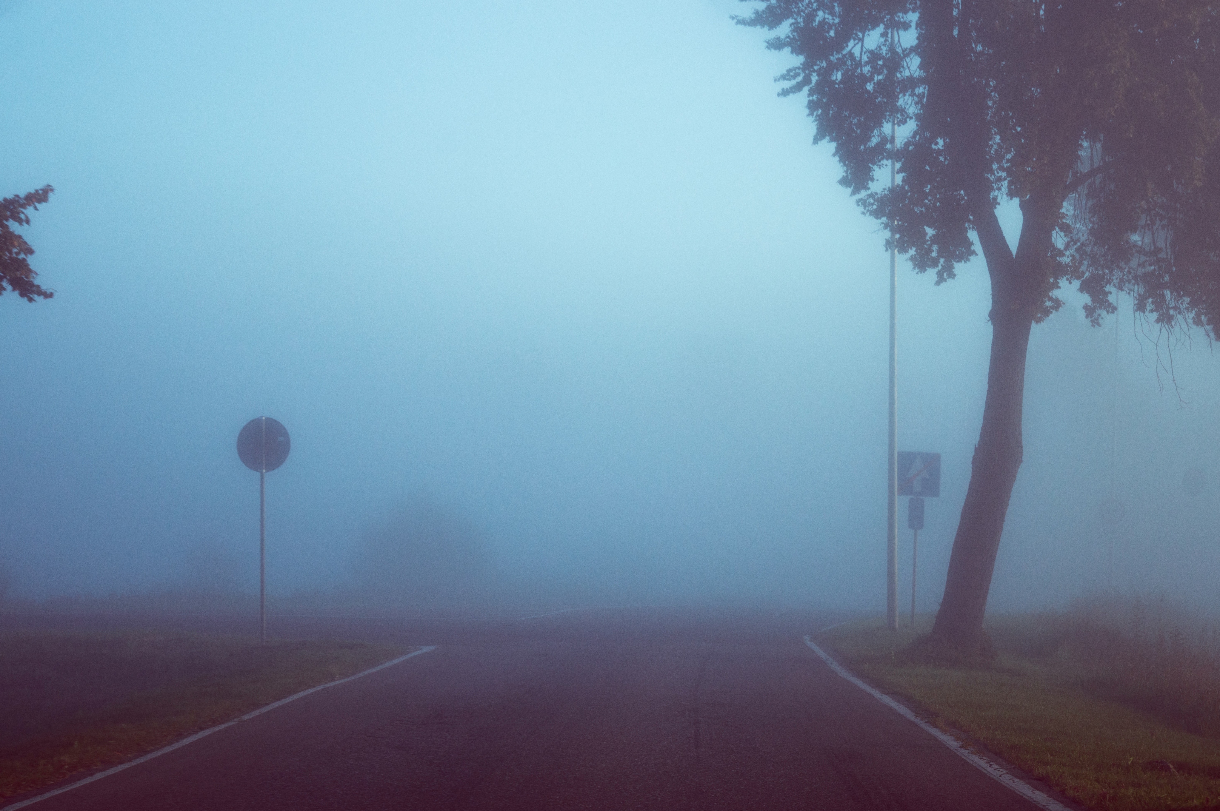 Looking through the fog