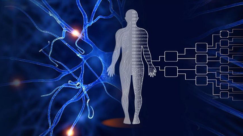 Students can now help build Project Manav - The Human Atlas