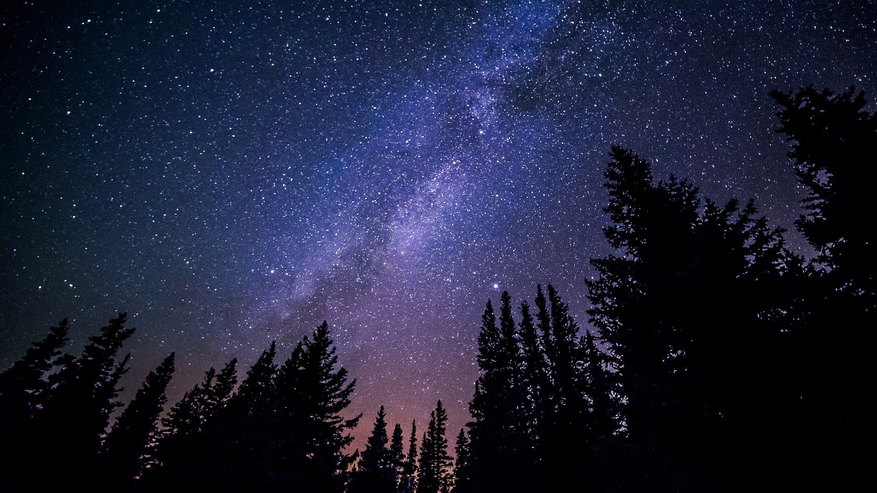 The adventurous journey of the stars in the centre of our Galaxy