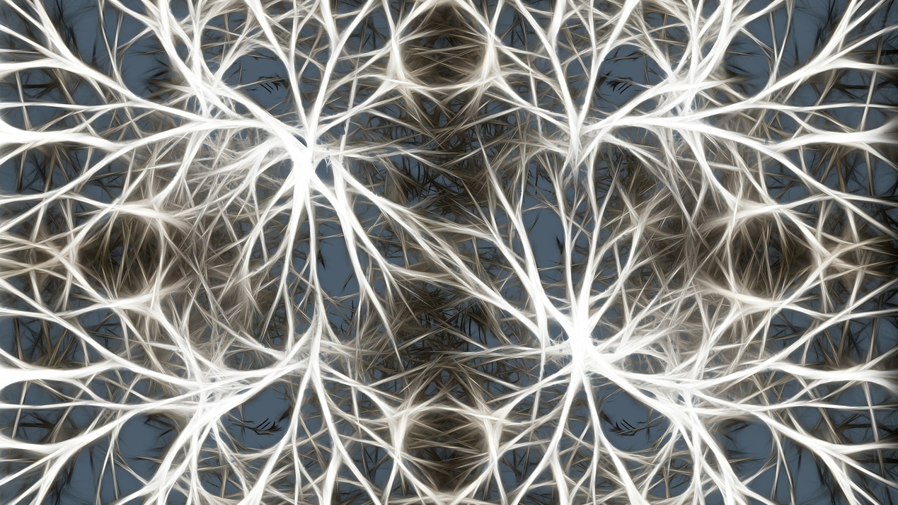 The chronicles of Neuronia