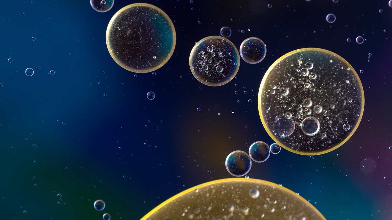 The dance of drops