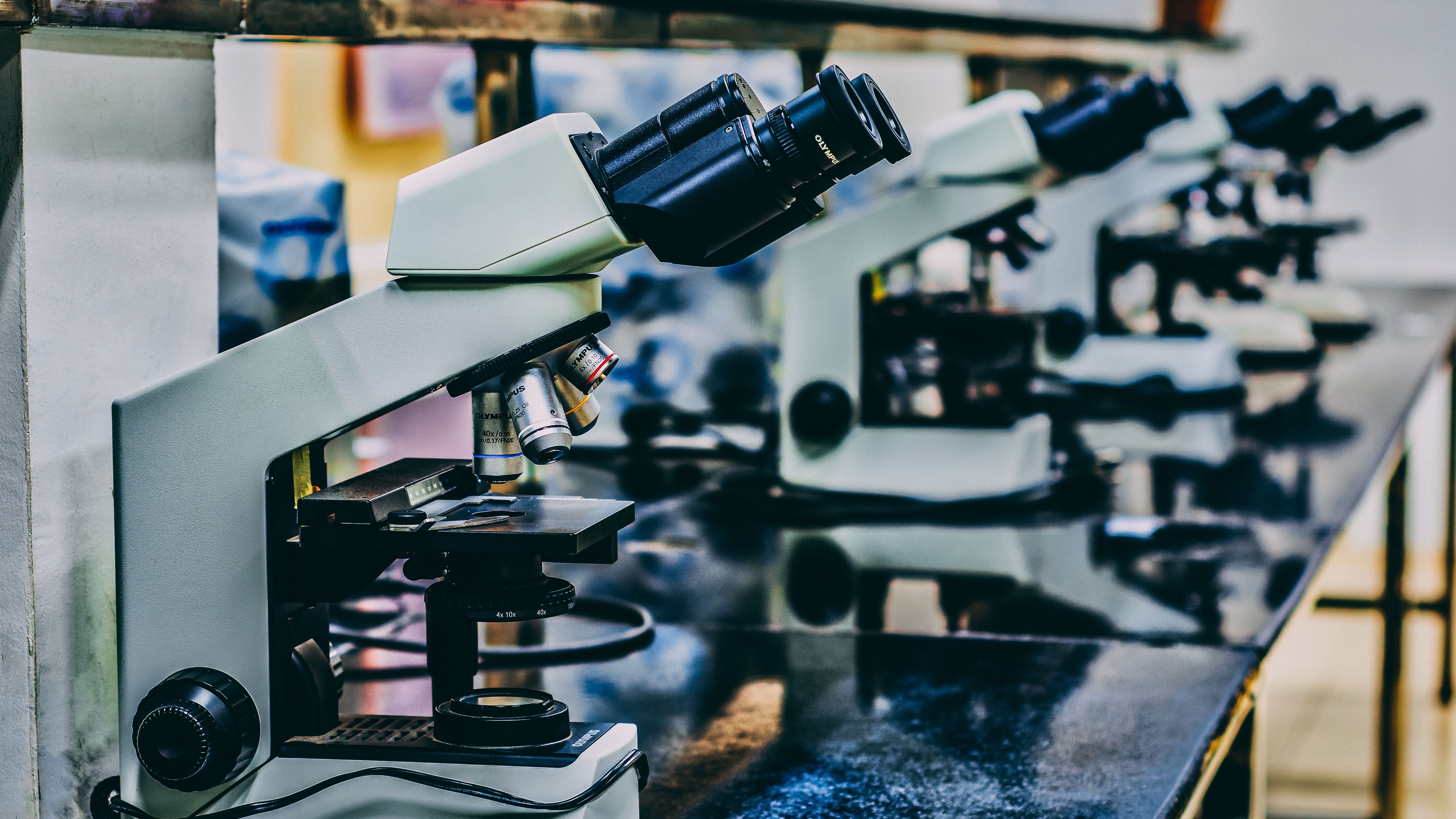 Study shows how strengthening the patent policy has boosted research & development in India