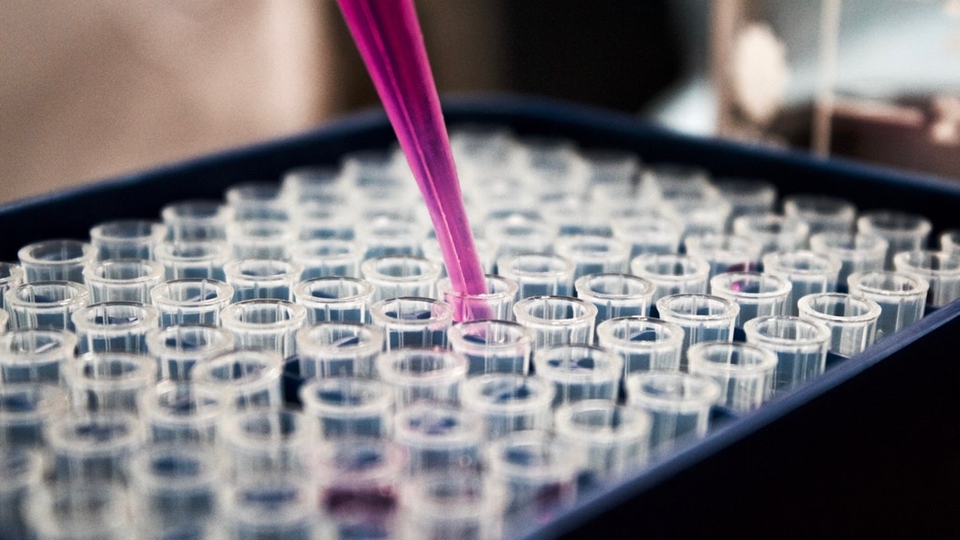 Researchers synthesise novel compounds with DNA binding and anticancer potential