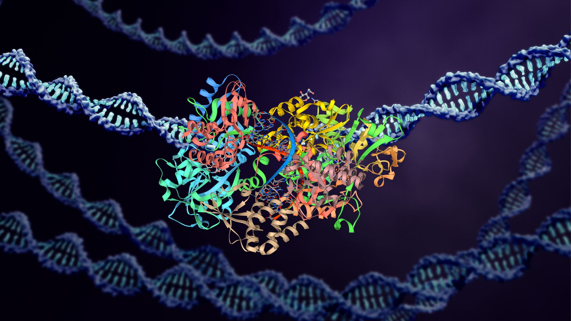Some bacteria hold onto their gene regulators: New study challenges long-standing belief