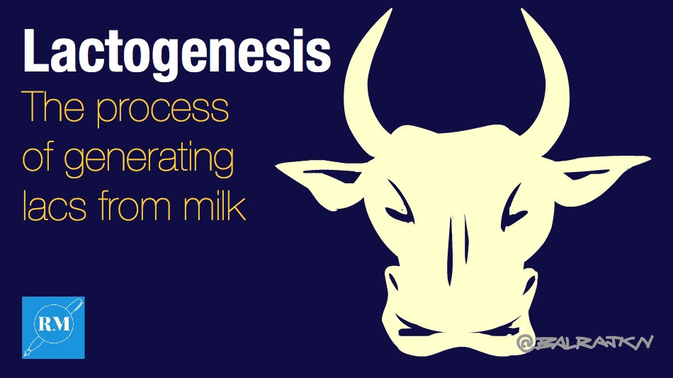 The Science Behind Milk