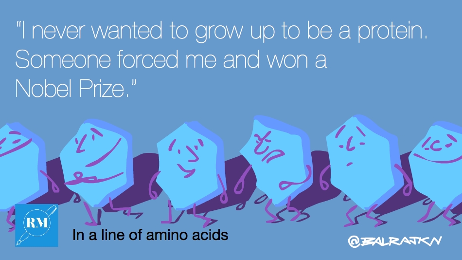 The art of making proteins