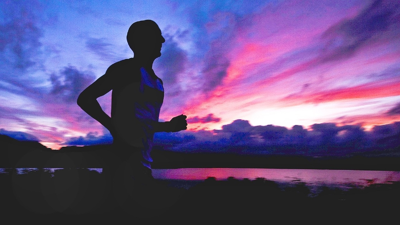 Endurance-running and human evolution: What does new evidence from hunter-gatherers add to the debate?