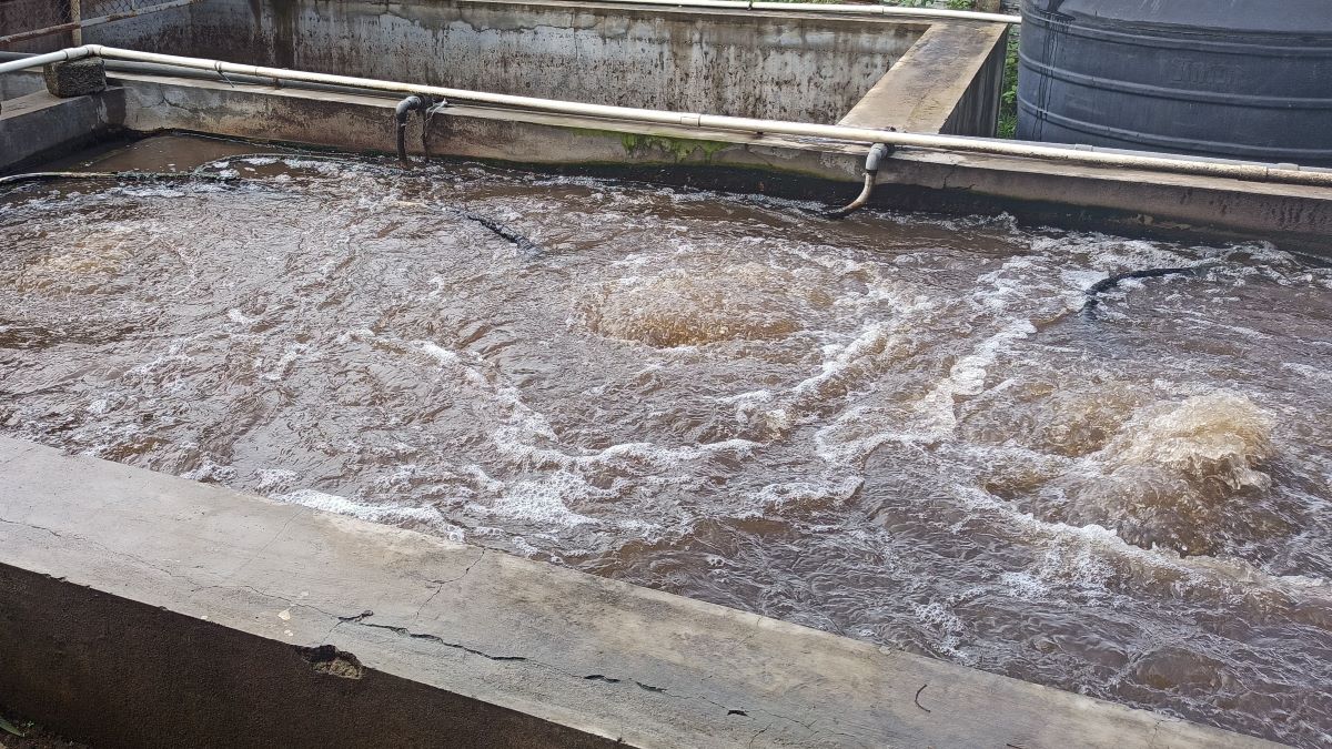 Shifting Towards Scaled Decentralisation: The Future of Urban Water Infrastructure