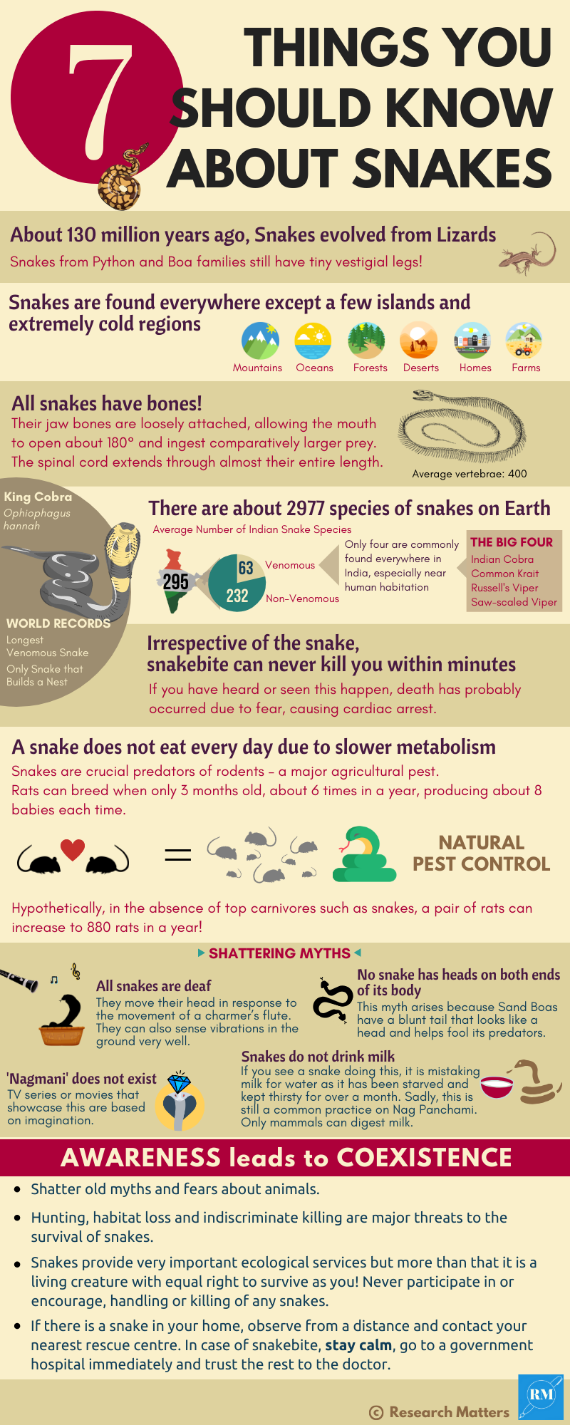 7 Things You Should Know About Snakes
