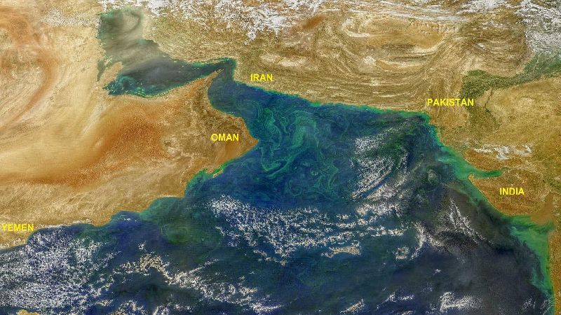 हिमालय की बर्फ धीमी गति से पिघल रही है जिसके कारण समुद्र अरब सागर में चमकीली अल्गल फल फूल रही है।