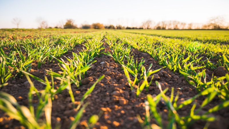Soil check: How much water does your soil contain?