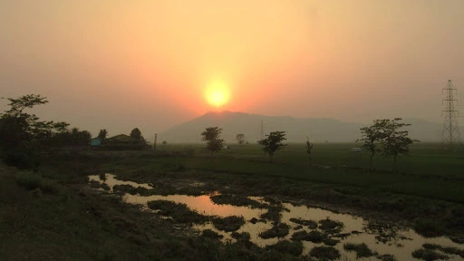 Machine learning boosts solar forecasts in diverse climates of India