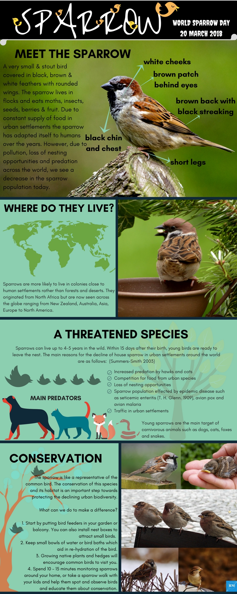 World Sparrow Day