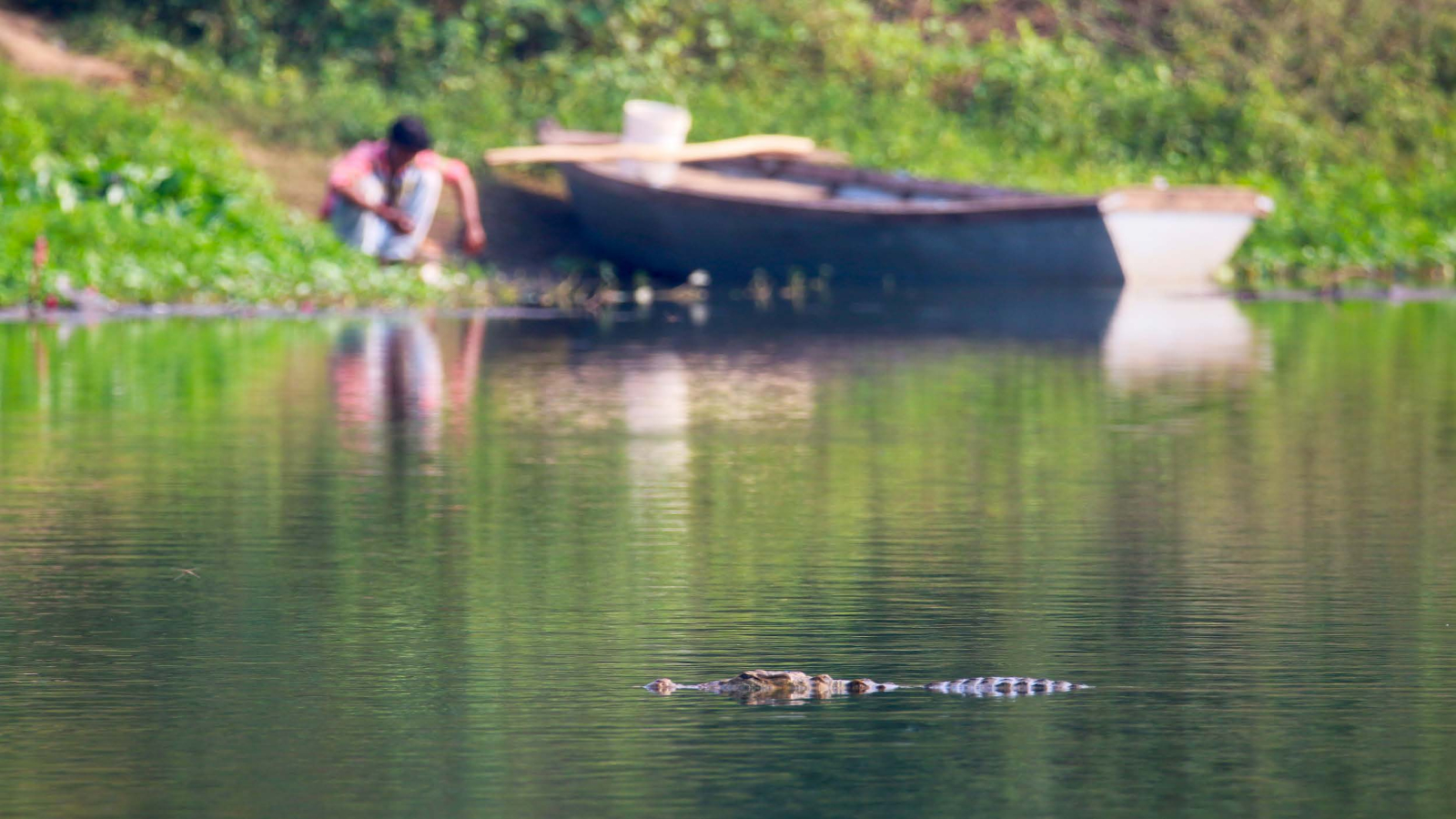 Studying human-wildlife interactions: Why we need to look beyond conflict