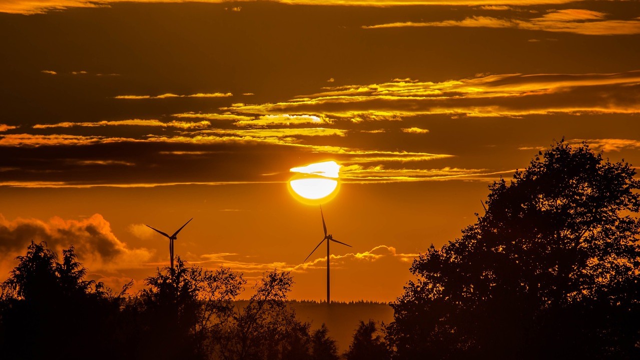 Wind turbines—causing more harm than good?
