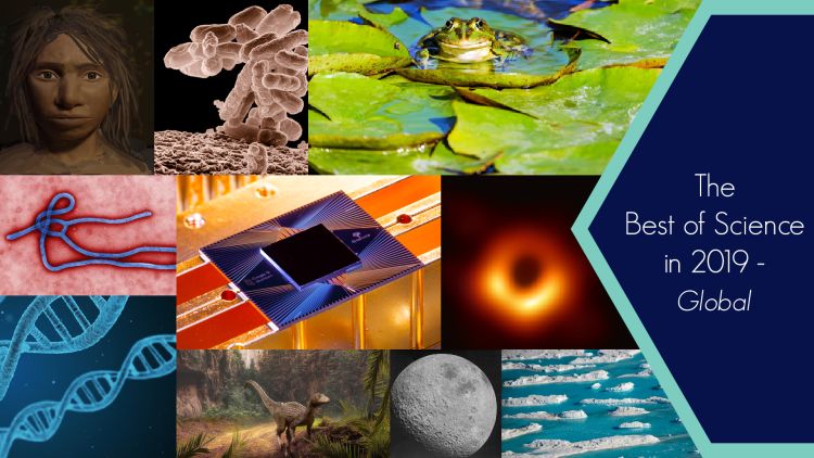 The Best of Science in 2019