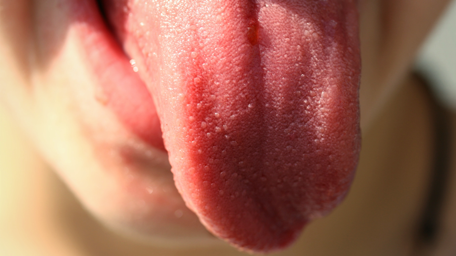 The truth about our taste buds