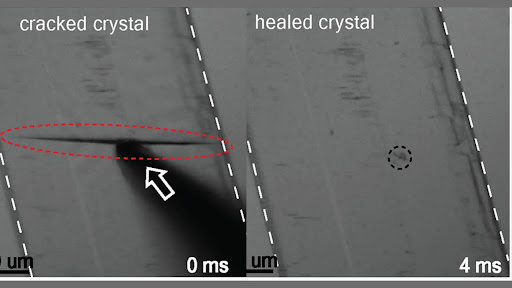 Scientists discover mechanism for fast self-healing molecular crystals