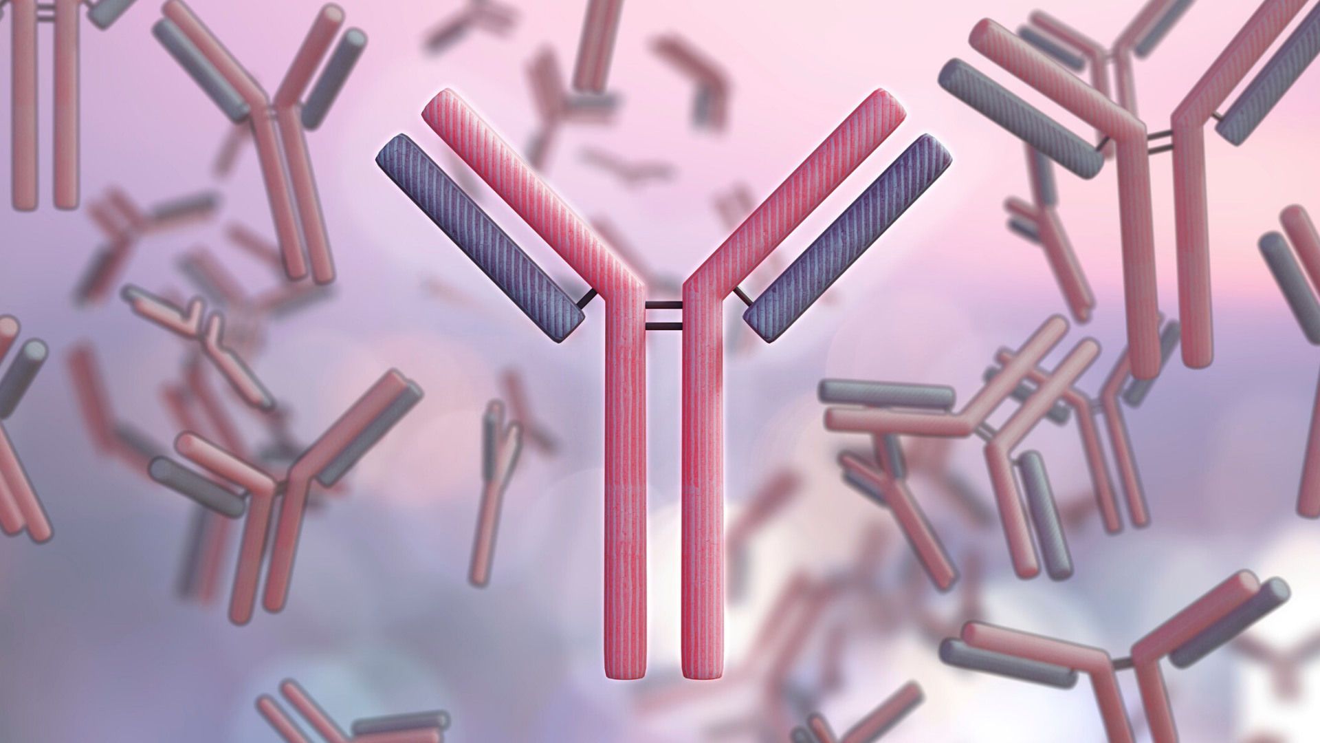 The body's immune system: A double-edged sword