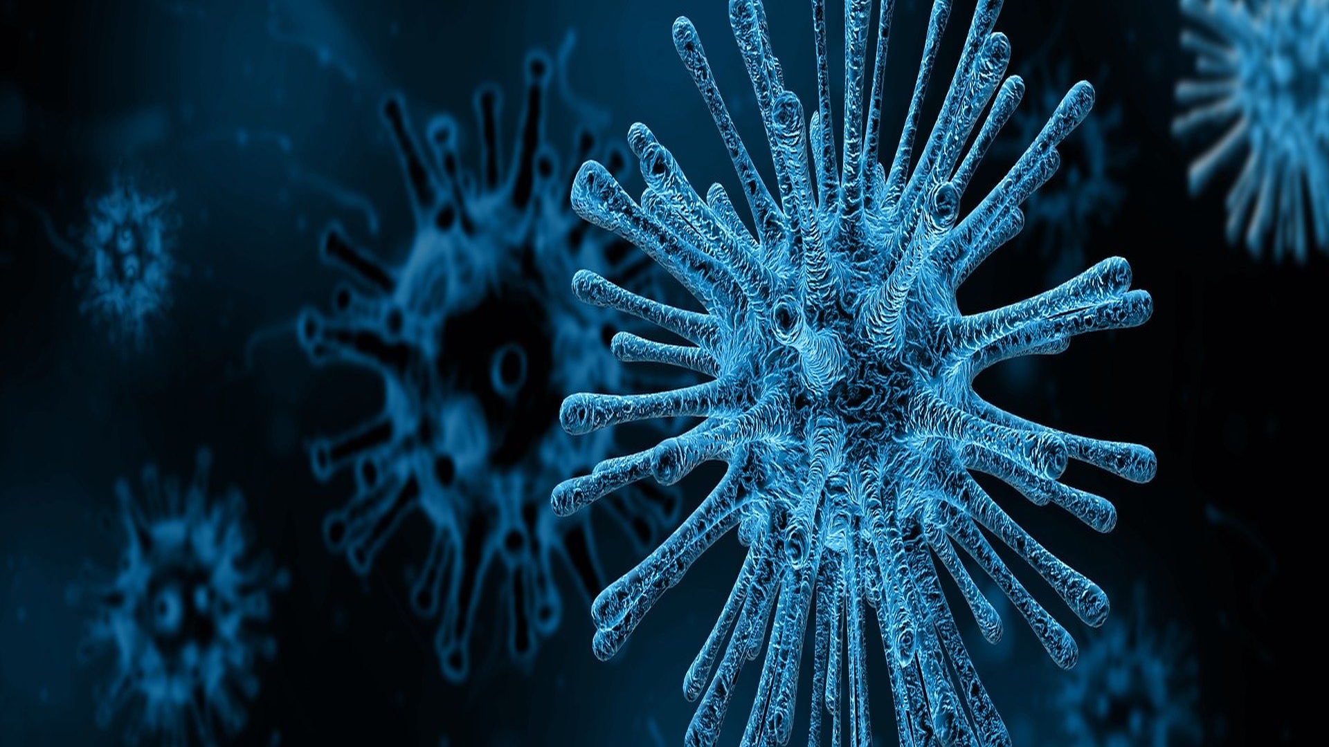 Designing drugs for the deadly Nipah virus