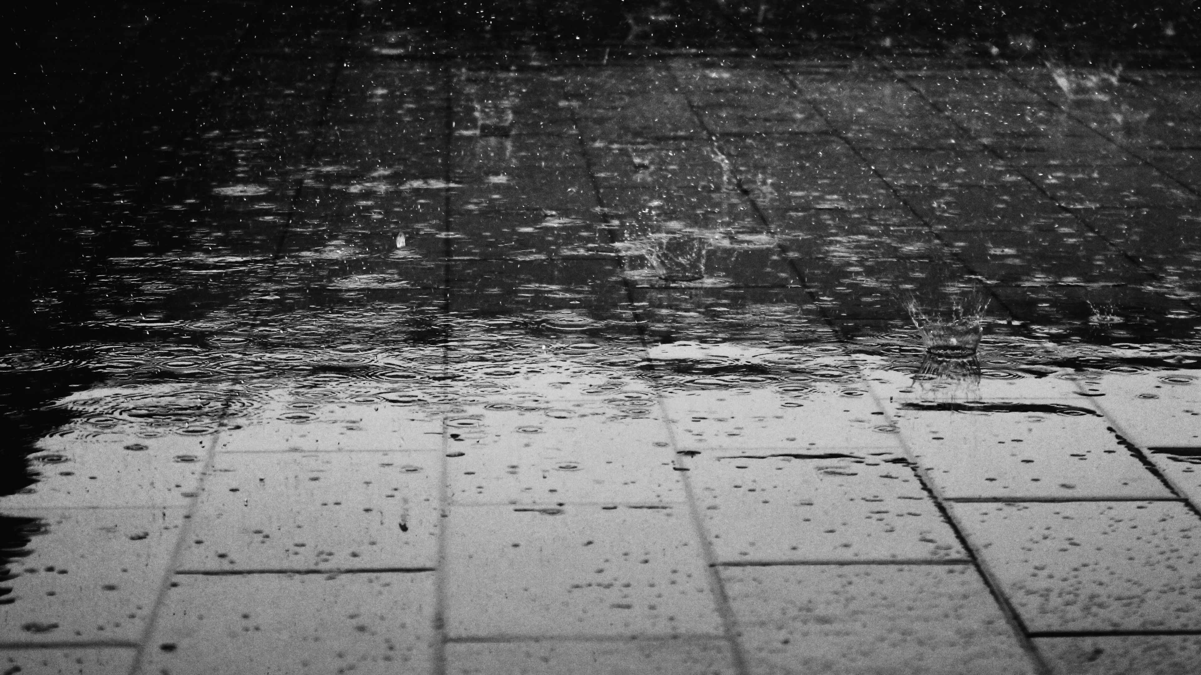 Study helps beat biases in monsoon prediction