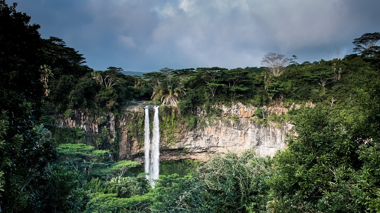 A new classification system of the world’s tropical forests