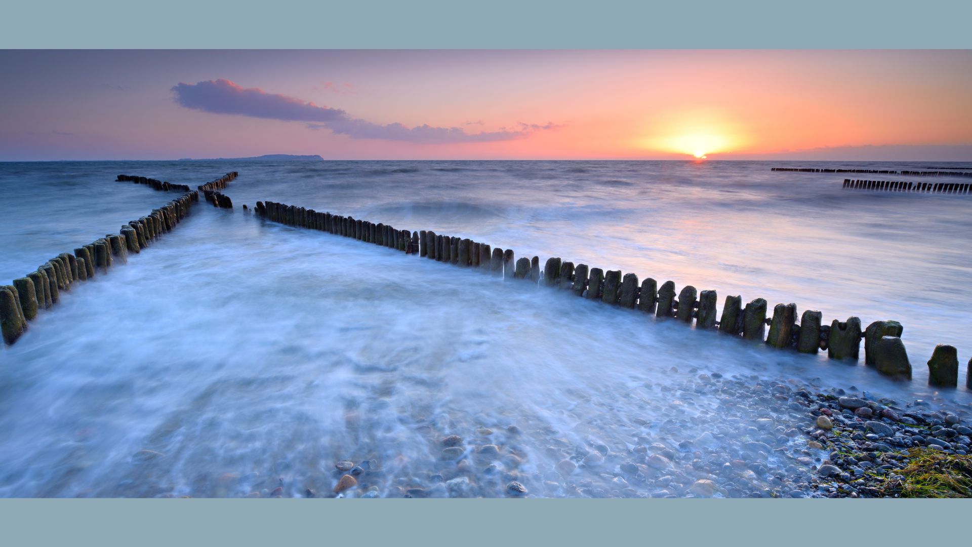 Researchers develop a citizen science app to monitor critical coastal defence