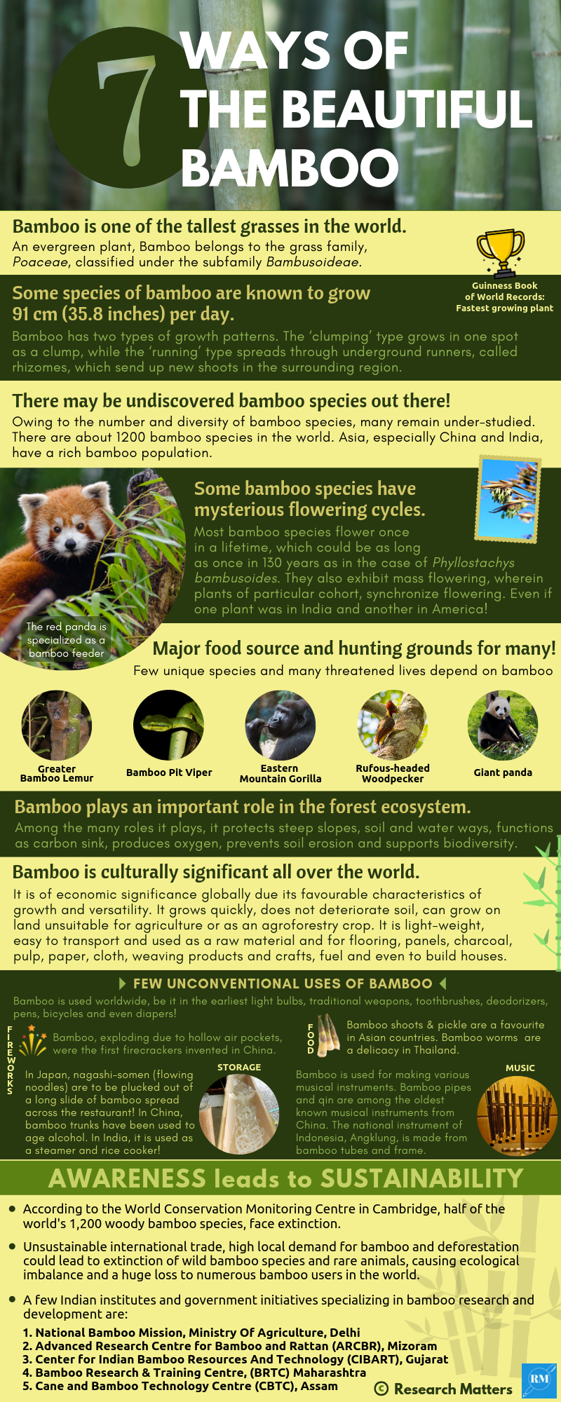 7 Ways of the Beautiful Bamboo